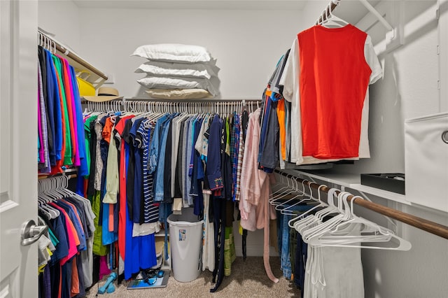 walk in closet with carpet flooring