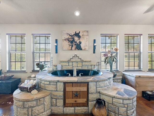 interior space with a bath, hardwood / wood-style floors, and plenty of natural light