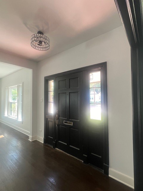 entryway with dark hardwood / wood-style flooring and a wealth of natural light