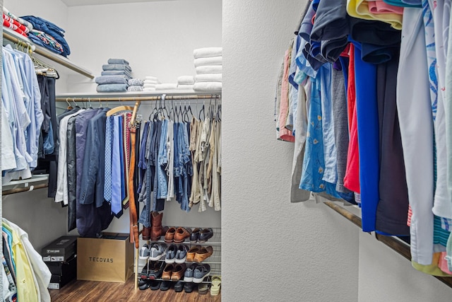 spacious closet featuring wood-type flooring