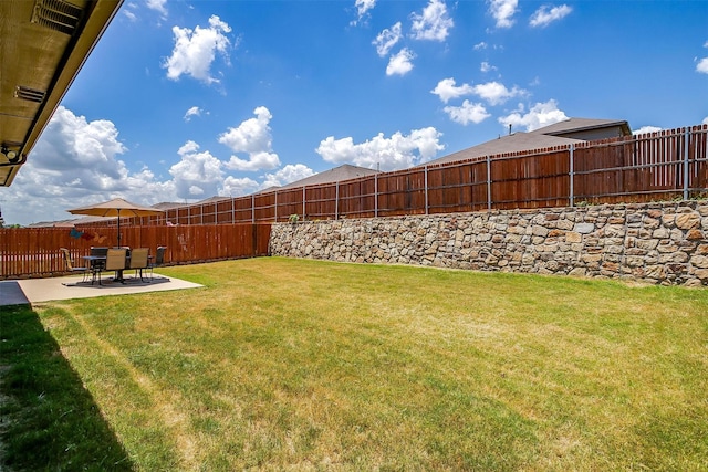 view of yard featuring a patio