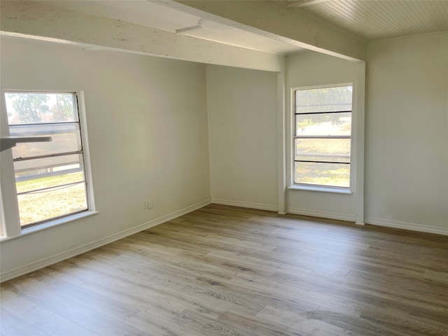 spare room with light hardwood / wood-style floors and a wealth of natural light