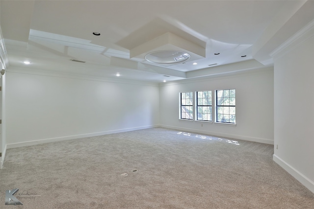 unfurnished room featuring crown molding, a raised ceiling, and carpet floors