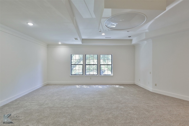 unfurnished room with a raised ceiling and carpet