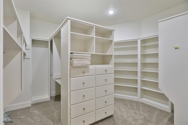 spacious closet featuring light carpet