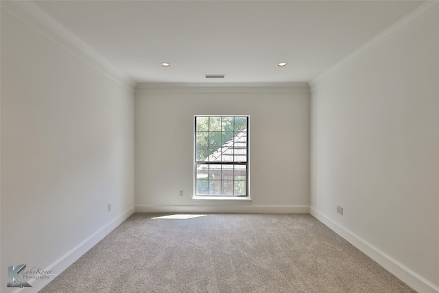 unfurnished room with crown molding and carpet