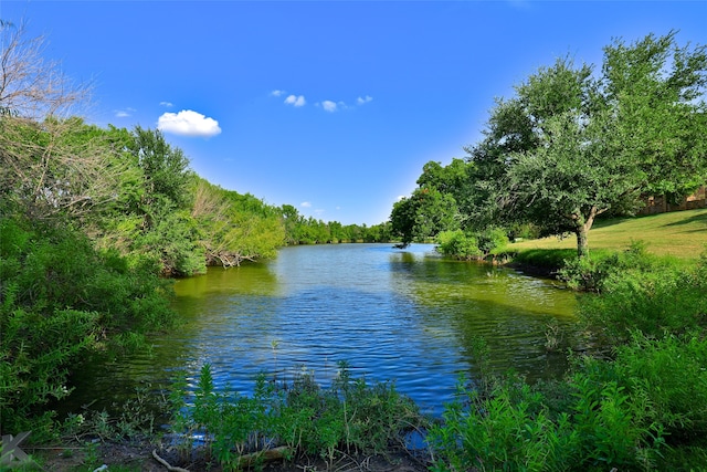 property view of water