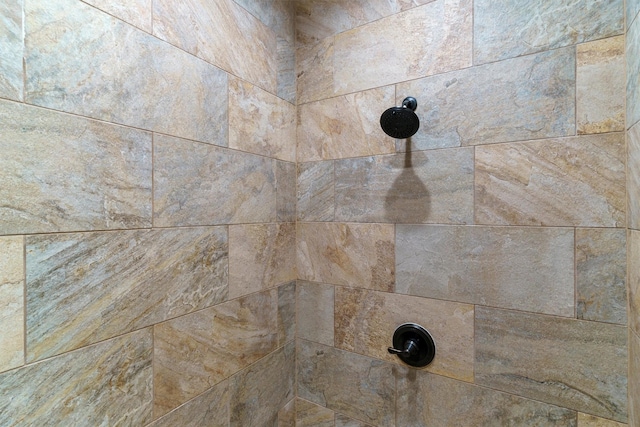 room details with tiled shower