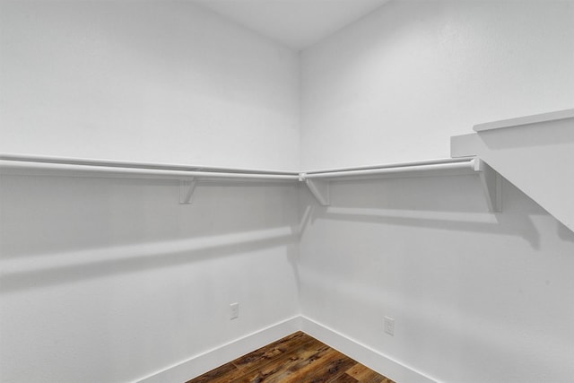 spacious closet with dark wood-type flooring