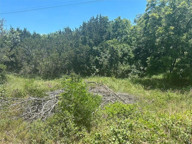 TBD Peninsula Dr, Bluff Dale TX, 76433 land for sale