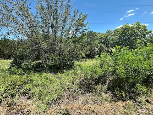 Listing photo 2 for TBD Peninsula Dr, Bluff Dale TX 76433