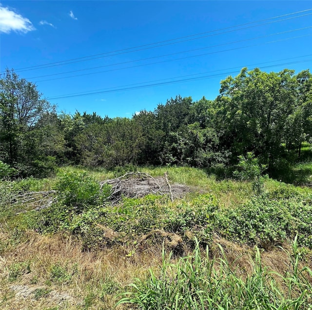 Listing photo 3 for TBD Peninsula Dr, Bluff Dale TX 76433