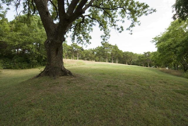 5500 Cedar Ridge Dr, Dallas TX, 75236 land for sale