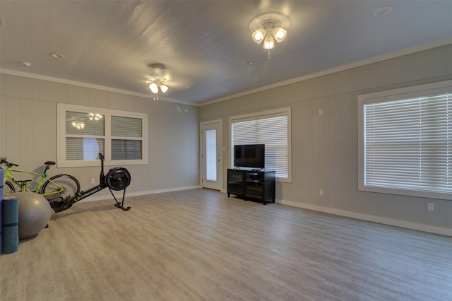 exercise room with ornamental molding, light wood-type flooring, and ceiling fan