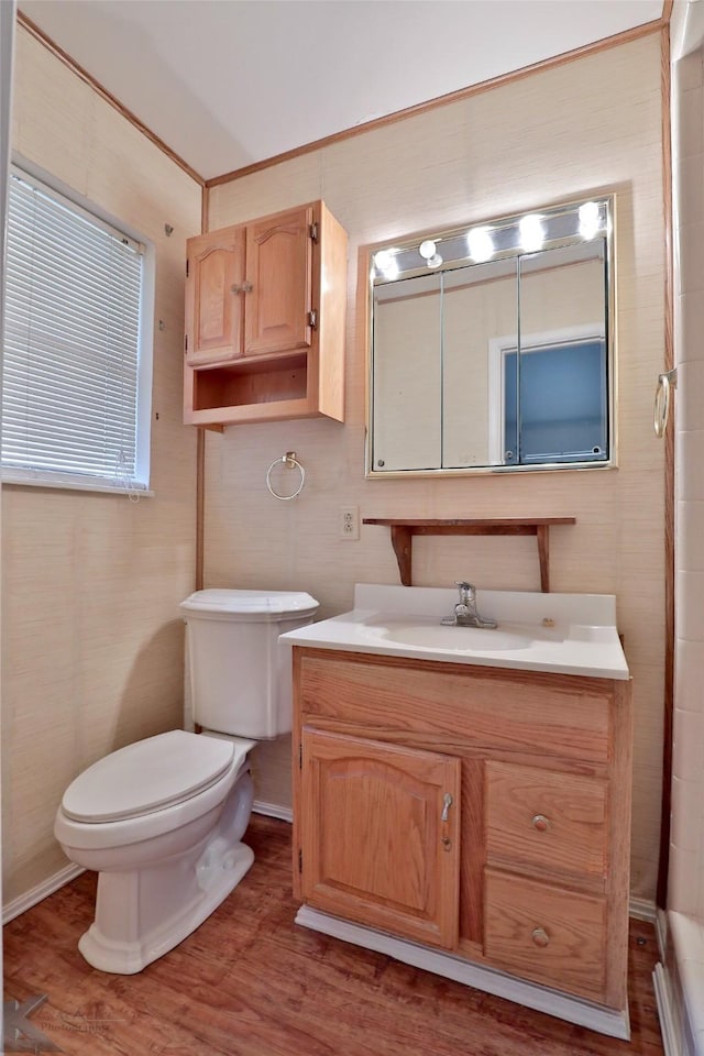 bathroom featuring vanity, wood-type flooring, and toilet