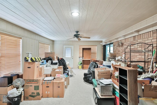 storage room featuring ceiling fan