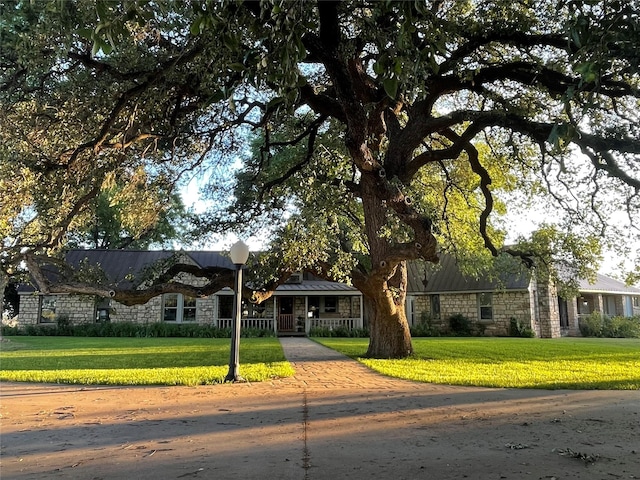 view of front of house with a front yard