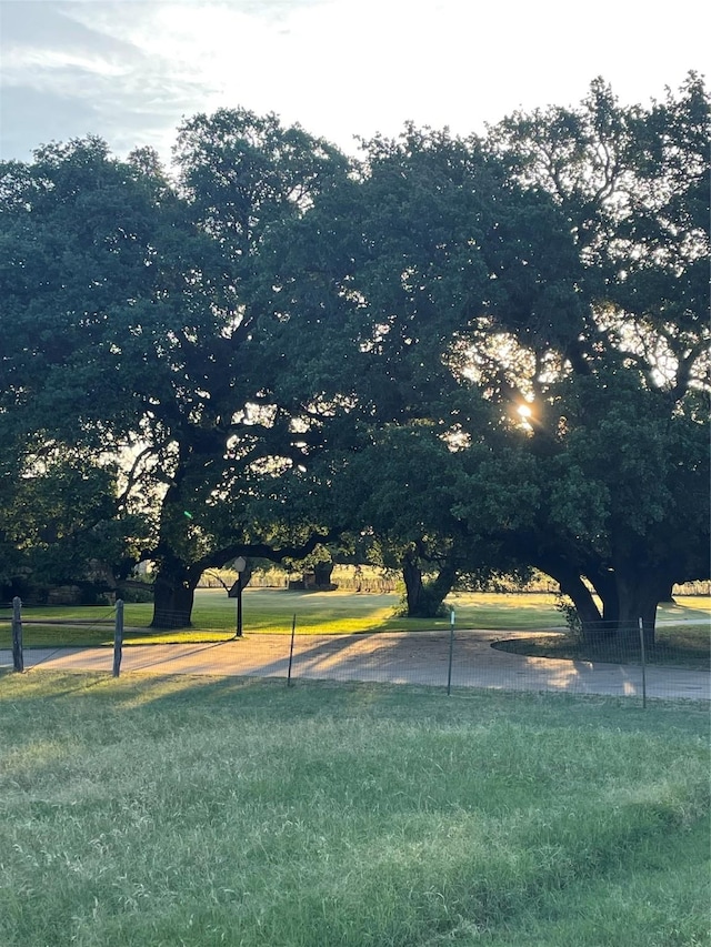 view of home's community with a yard