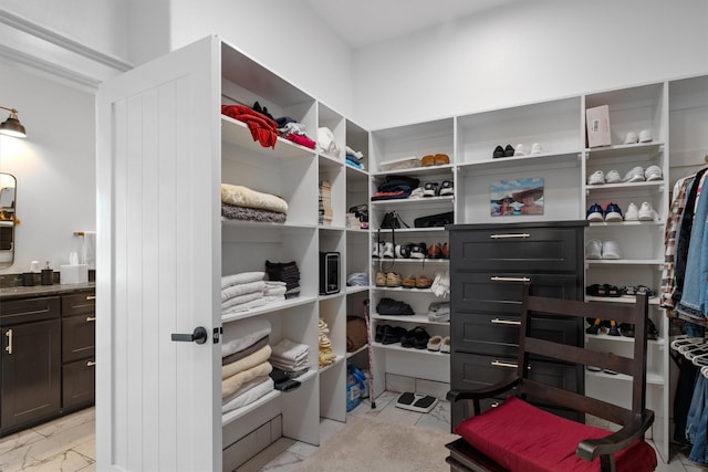 view of spacious closet