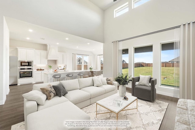 living room featuring a healthy amount of sunlight, dark hardwood / wood-style floors, and sink