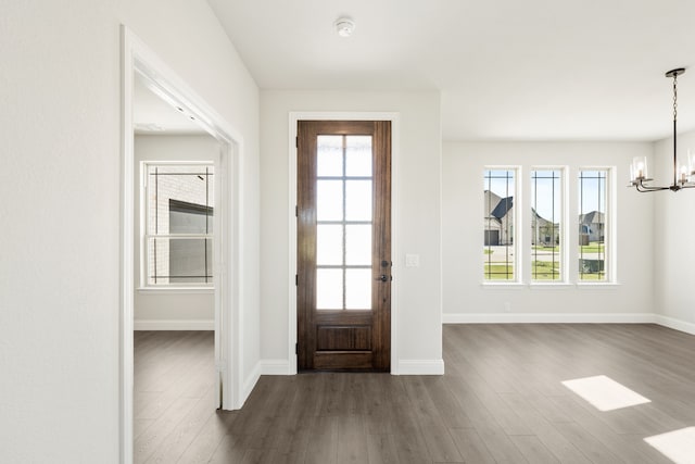 foyer with an inviting chandelier, a healthy amount of sunlight, and dark hardwood / wood-style floors