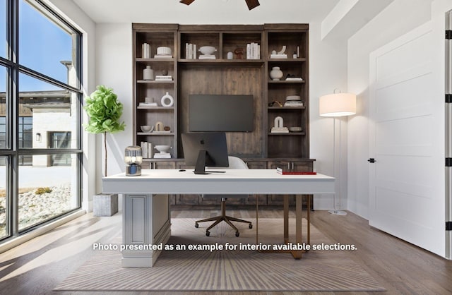 office space with ceiling fan and hardwood / wood-style flooring