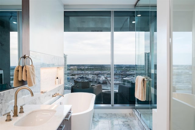 bathroom with a bath, vanity, and a healthy amount of sunlight