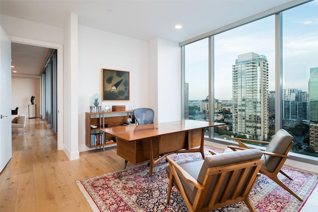 office space featuring light hardwood / wood-style floors and a wall of windows