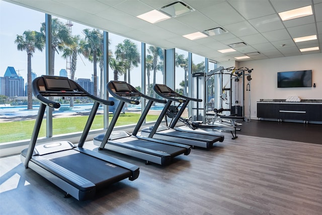 exercise room with dark hardwood / wood-style flooring, a paneled ceiling, and floor to ceiling windows