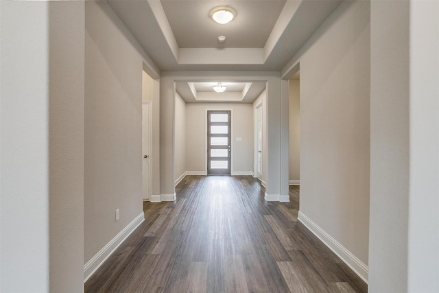 foyer entrance featuring a raised ceiling and dark hardwood / wood-style flooring