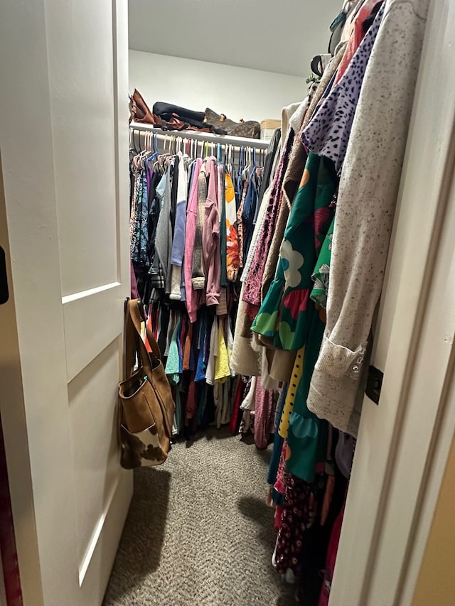 spacious closet featuring carpet floors