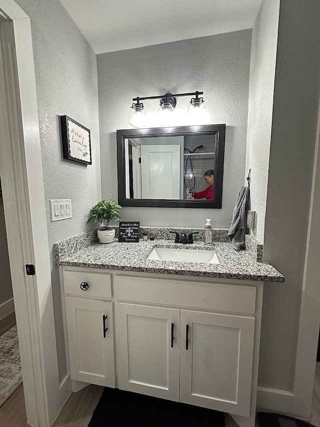 bathroom with hardwood / wood-style flooring and vanity