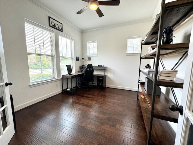 office with ceiling fan, dark hardwood / wood-style flooring, and ornamental molding