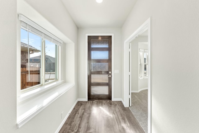 entryway featuring hardwood / wood-style flooring