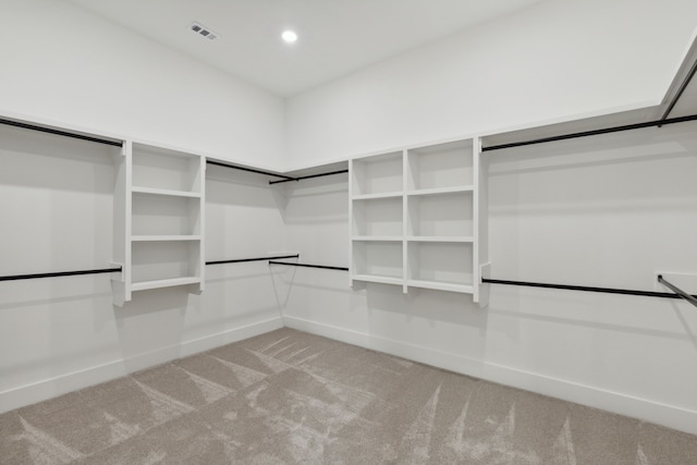 spacious closet featuring carpet