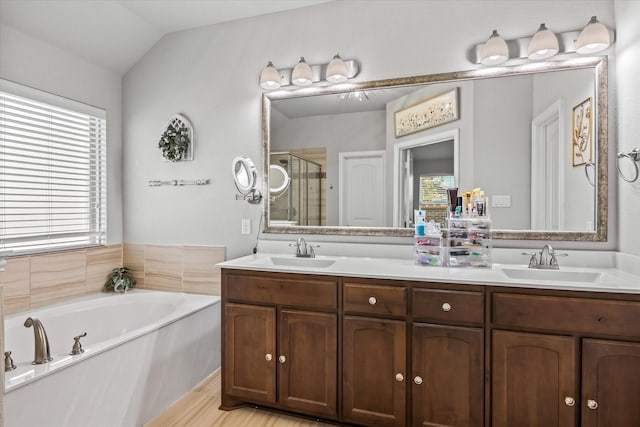 bathroom with vanity, plenty of natural light, and independent shower and bath