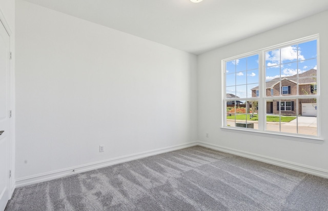 spare room with carpet floors