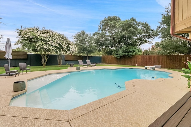 view of swimming pool with a patio area and a yard