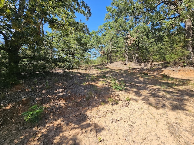 0000 Fm 17, Canton, TX 75103