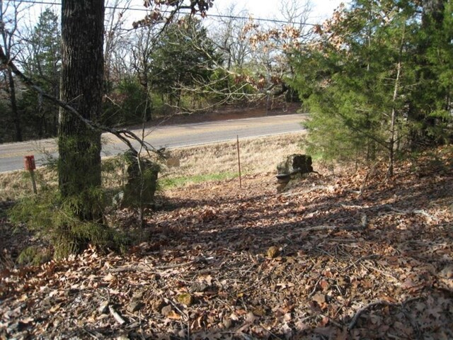 0000 Fm 17, Canton, TX 75103