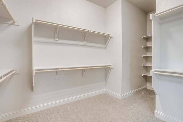 spacious closet featuring carpet floors