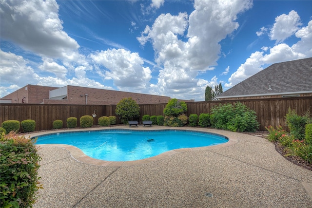 view of swimming pool featuring a patio area