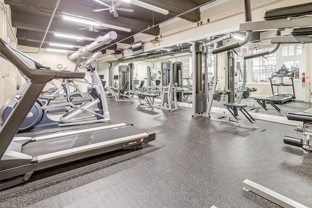 gym featuring ceiling fan