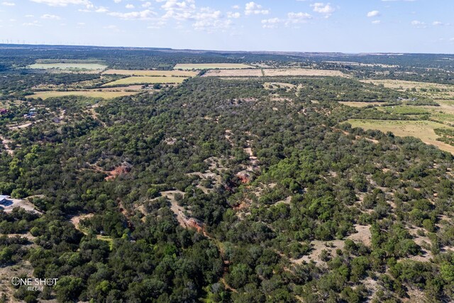 Listing photo 3 for TBD County Road 280, Tuscola TX 79562