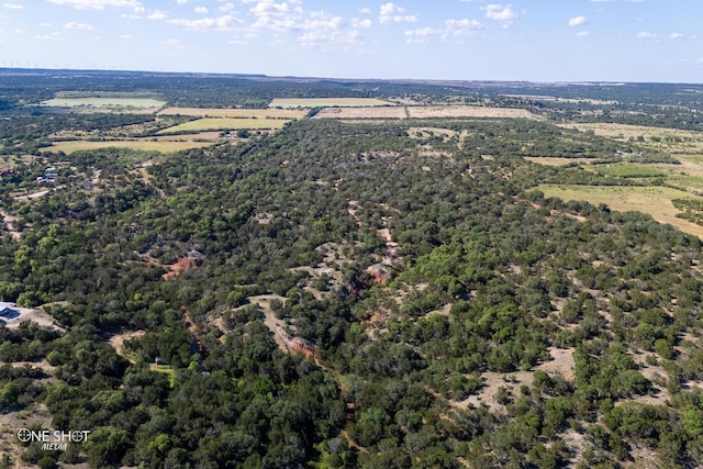 Listing photo 3 for TBD County Road 280, Tuscola TX 79562