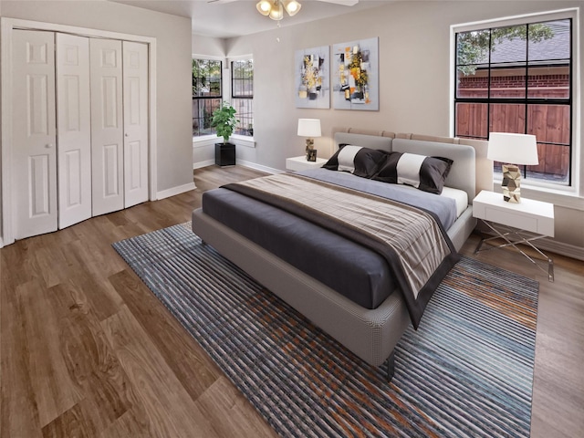 bedroom with hardwood / wood-style floors and a closet