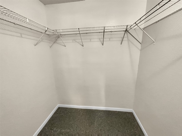 spacious closet with carpet flooring