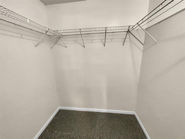 spacious closet with carpet flooring