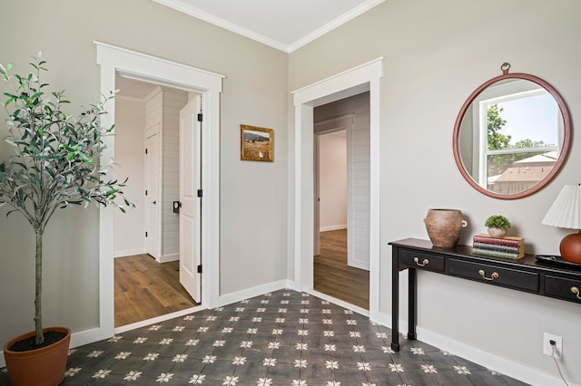 foyer with ornamental molding and dark wood-type flooring