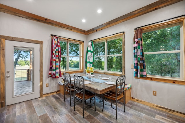 dining room with hardwood / wood-style floors